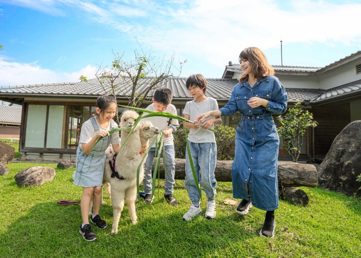 草泥馬互動