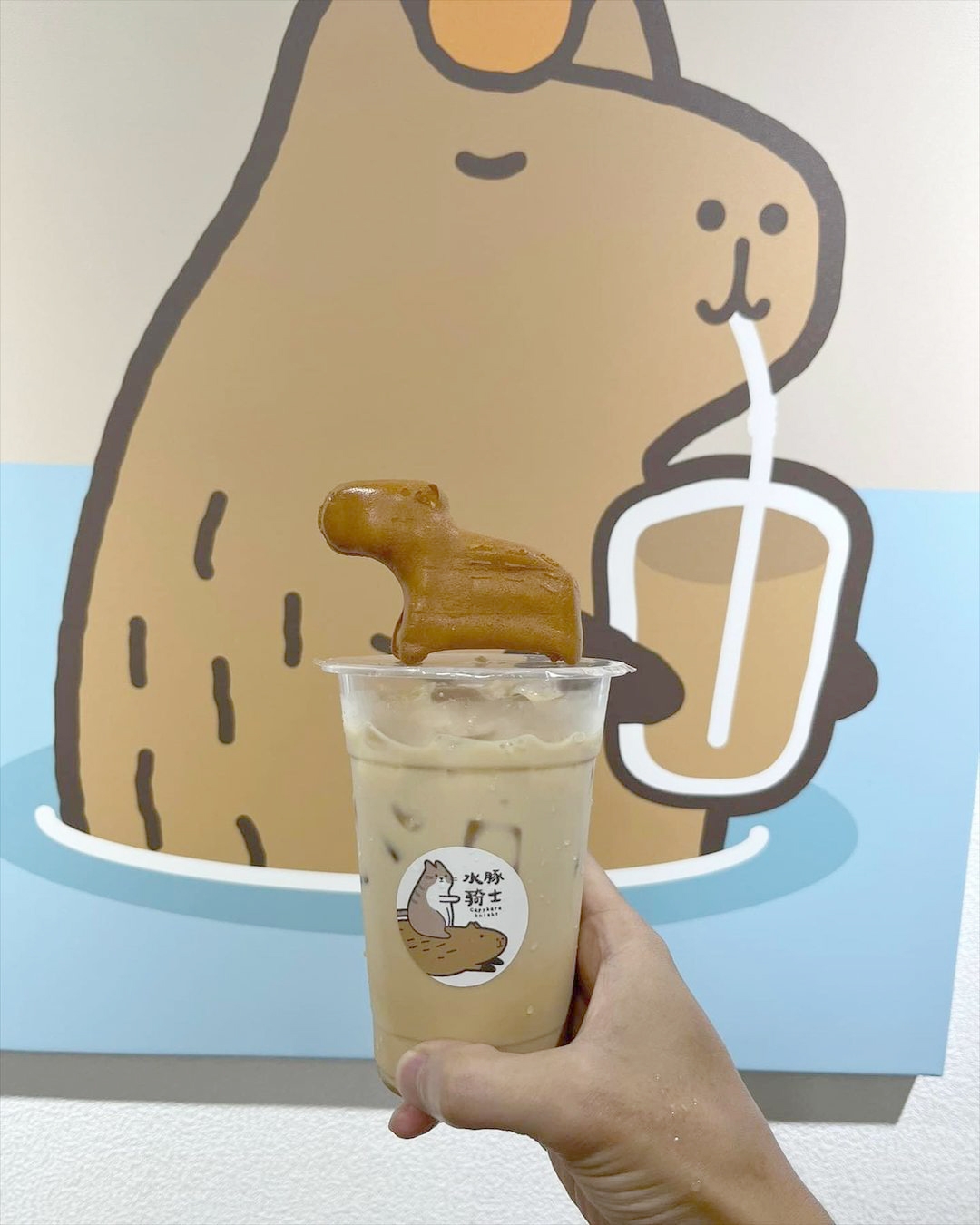 新北土城「水豚騎士」咖啡廳