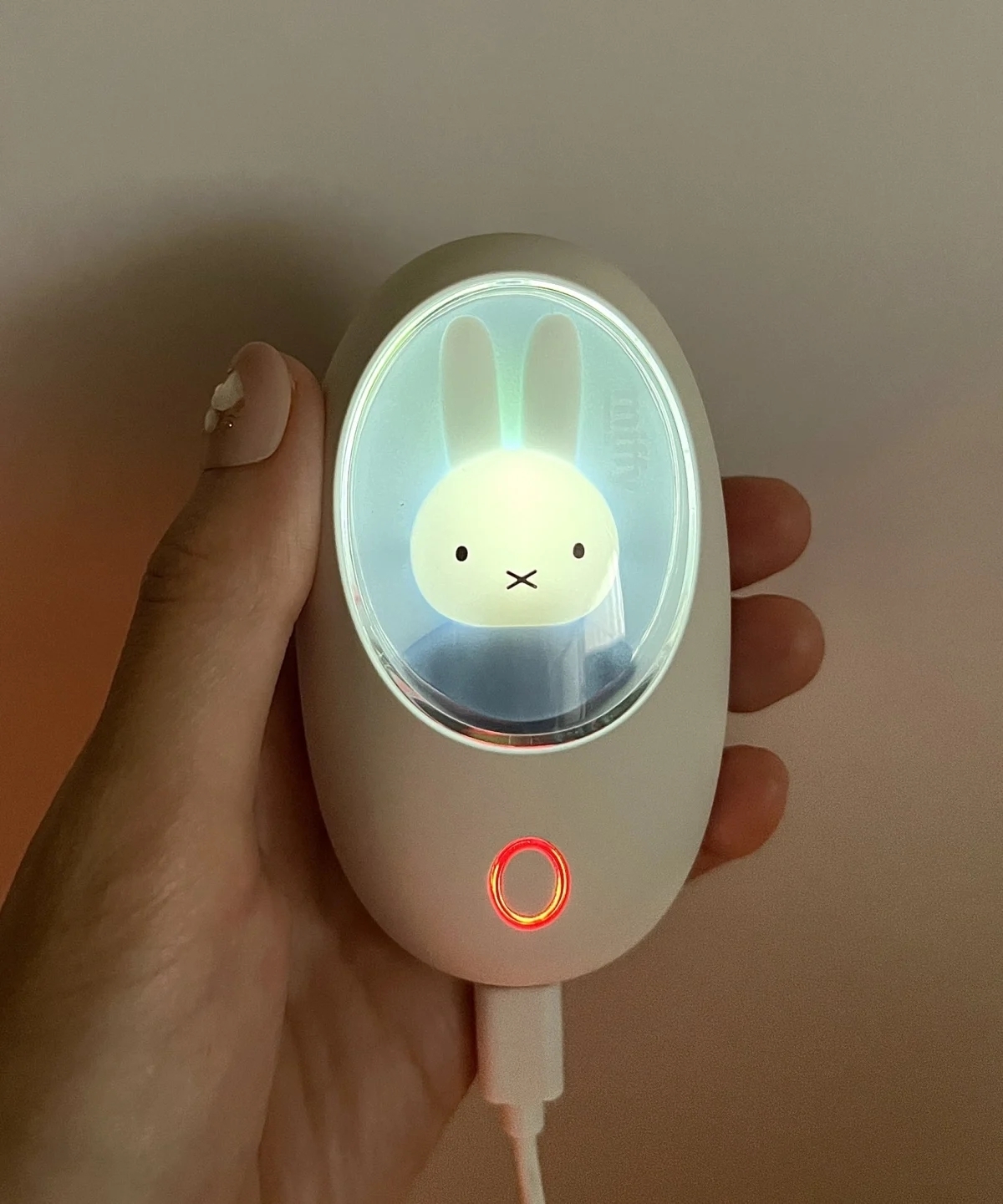 發亮中的米菲兔