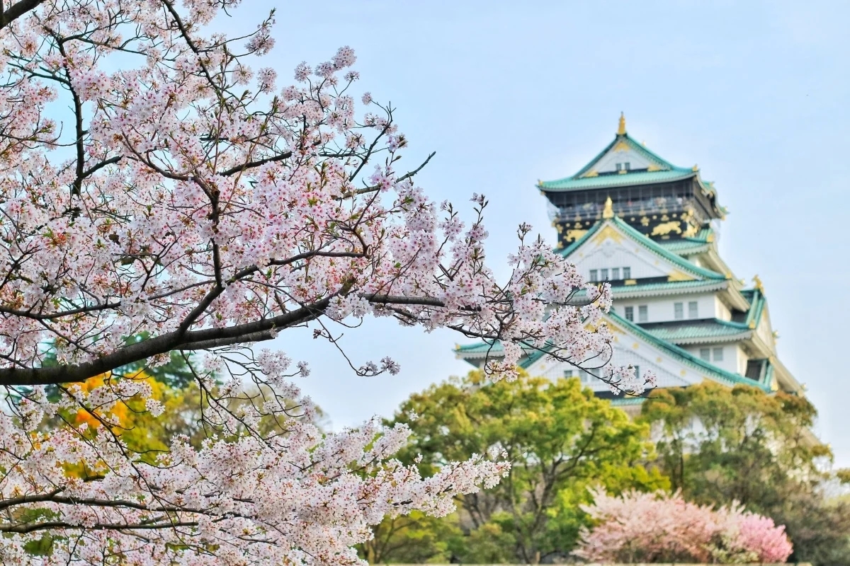台灣遊客終於可以衝日本了