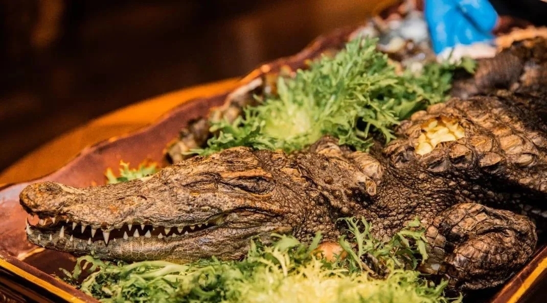 鱷魚全餐