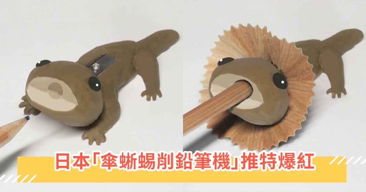 削一圈從「蜥蜴→傘蜥蜴」！「傘蜥蜴削鉛筆機」推特爆紅，療癒系文具用品全網瘋喊：想要！