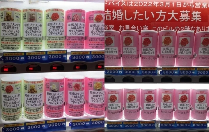 只要投入1000日元,就能和婚姻仲介公司聯繫