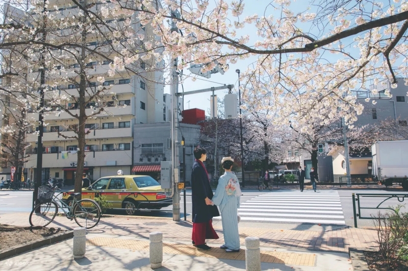 日韓賞櫻行程推薦4:淺草