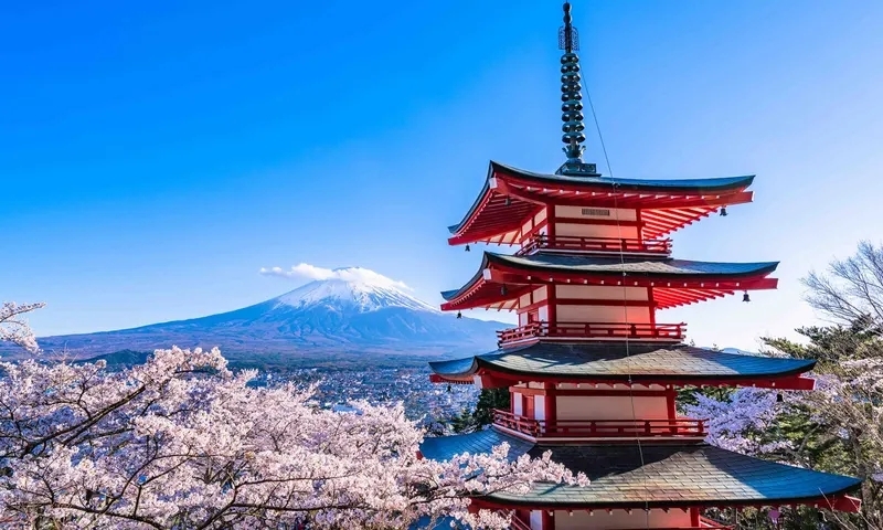 日韓賞櫻行程推薦2:倉淺間神社的五層寶塔
