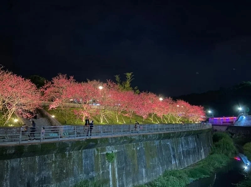 台灣北部櫻花景點3:台北內湖樂活公園