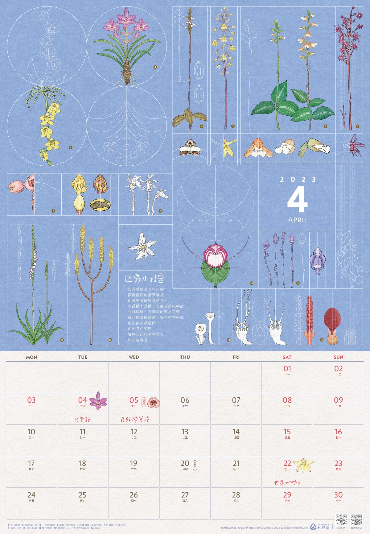 林務局發行的2023「小千之森」月曆以4月份主題以「迷霧小精靈」介紹台灣山林當中的奇株異草。