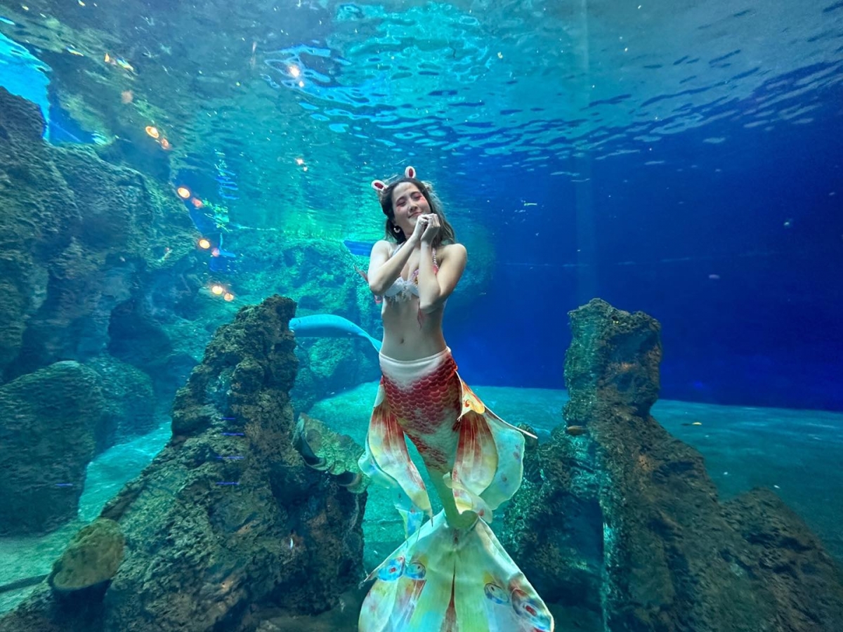 壽星快來遠雄海洋公園欣賞婀娜多姿的真人美人魚表演。