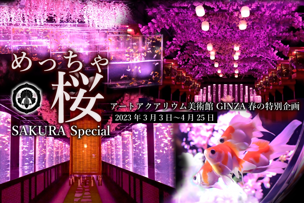 Art Aquarium「めっちゃ桜 ~SAKURA Special~」