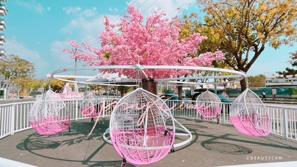 櫻花粉樂園