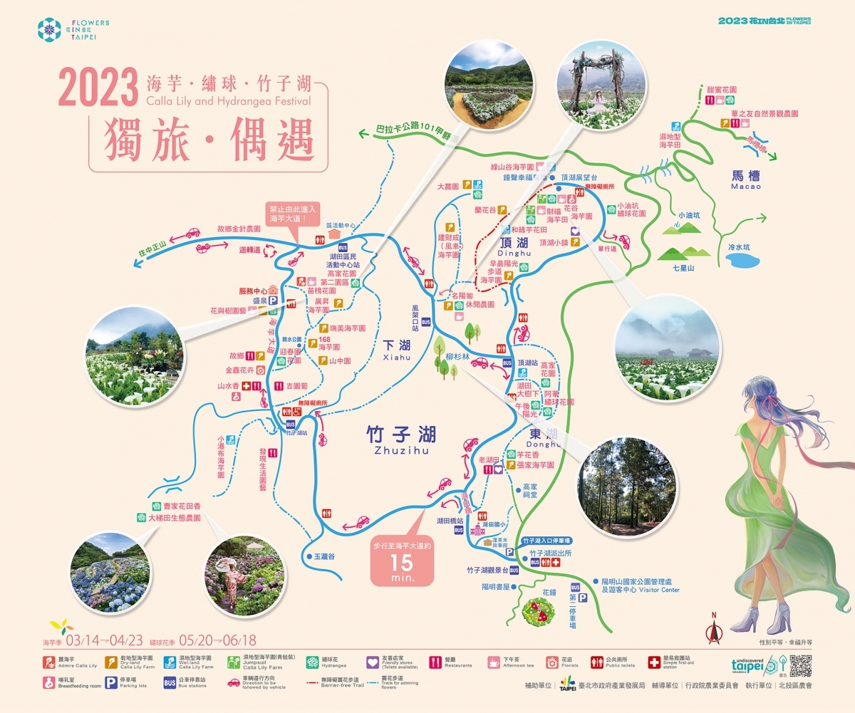 2023陽明山海芋季賞花地圖