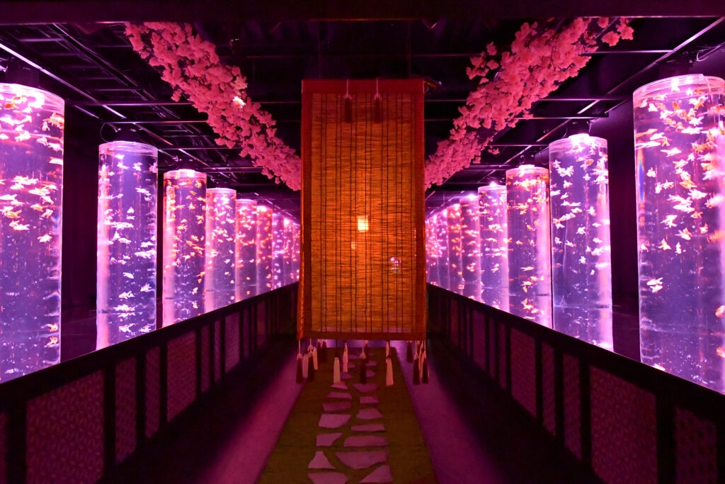 Art Aquarium「めっちゃ桜 ~SAKURA Special~」