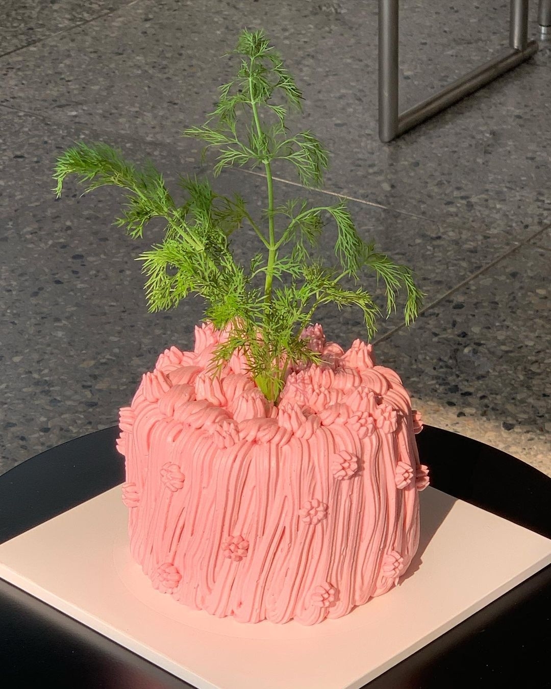 粉紅蒔蘿香菜蛋糕乍看之下很違和