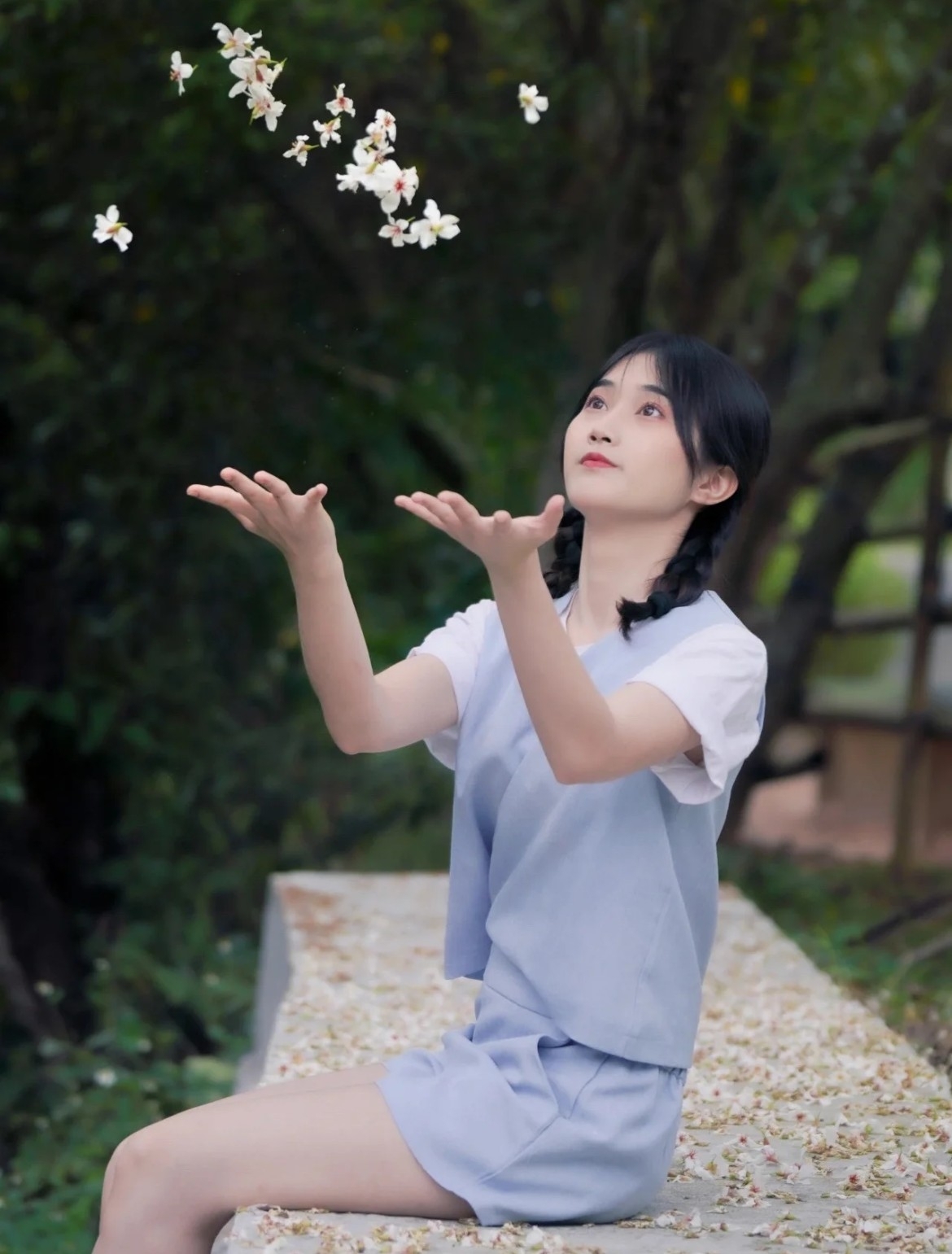 2023苗栗桐花祭:油桐花景點介紹