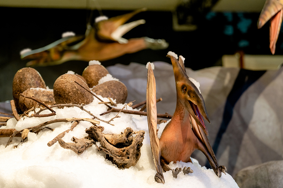 《侏羅紀X恐龍雪世界》