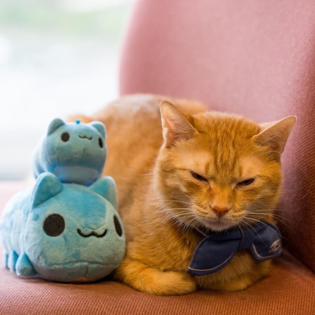 《揪咖來高雄》