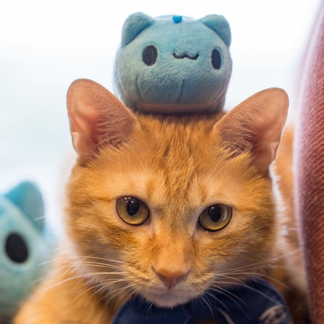 《揪咖來高雄》