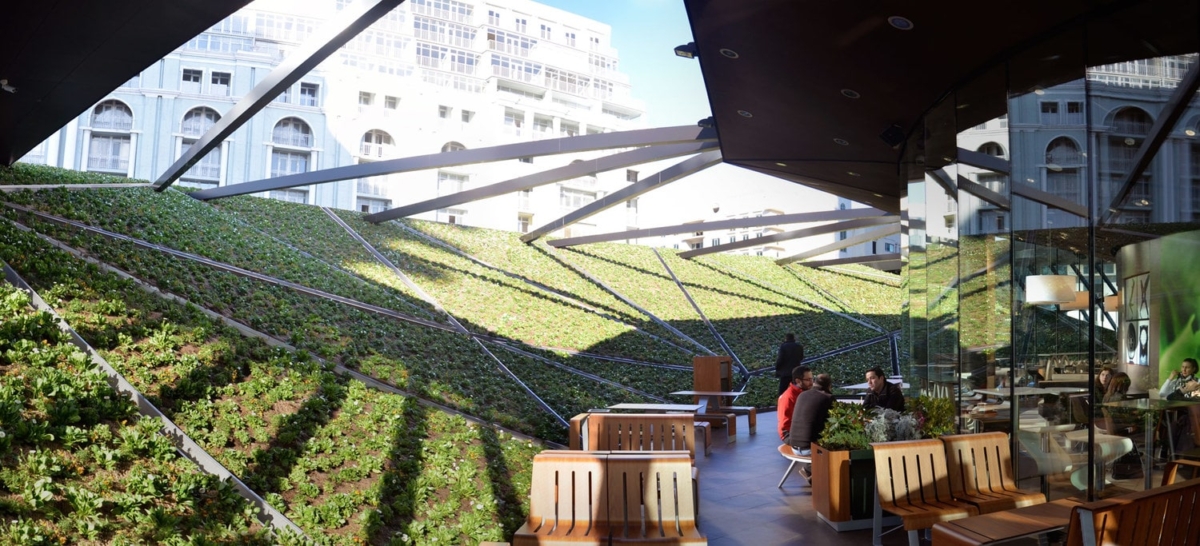 用餐區在綠意盎然的花園中