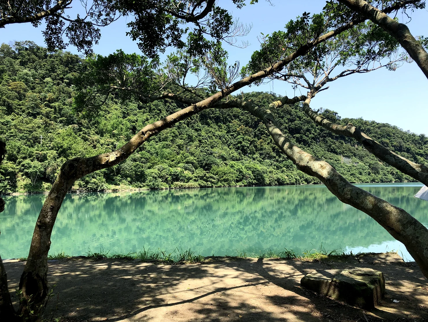 環繞於山中的秘境「濛濛谷」