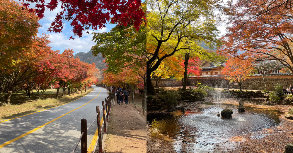 內藏山國立公園