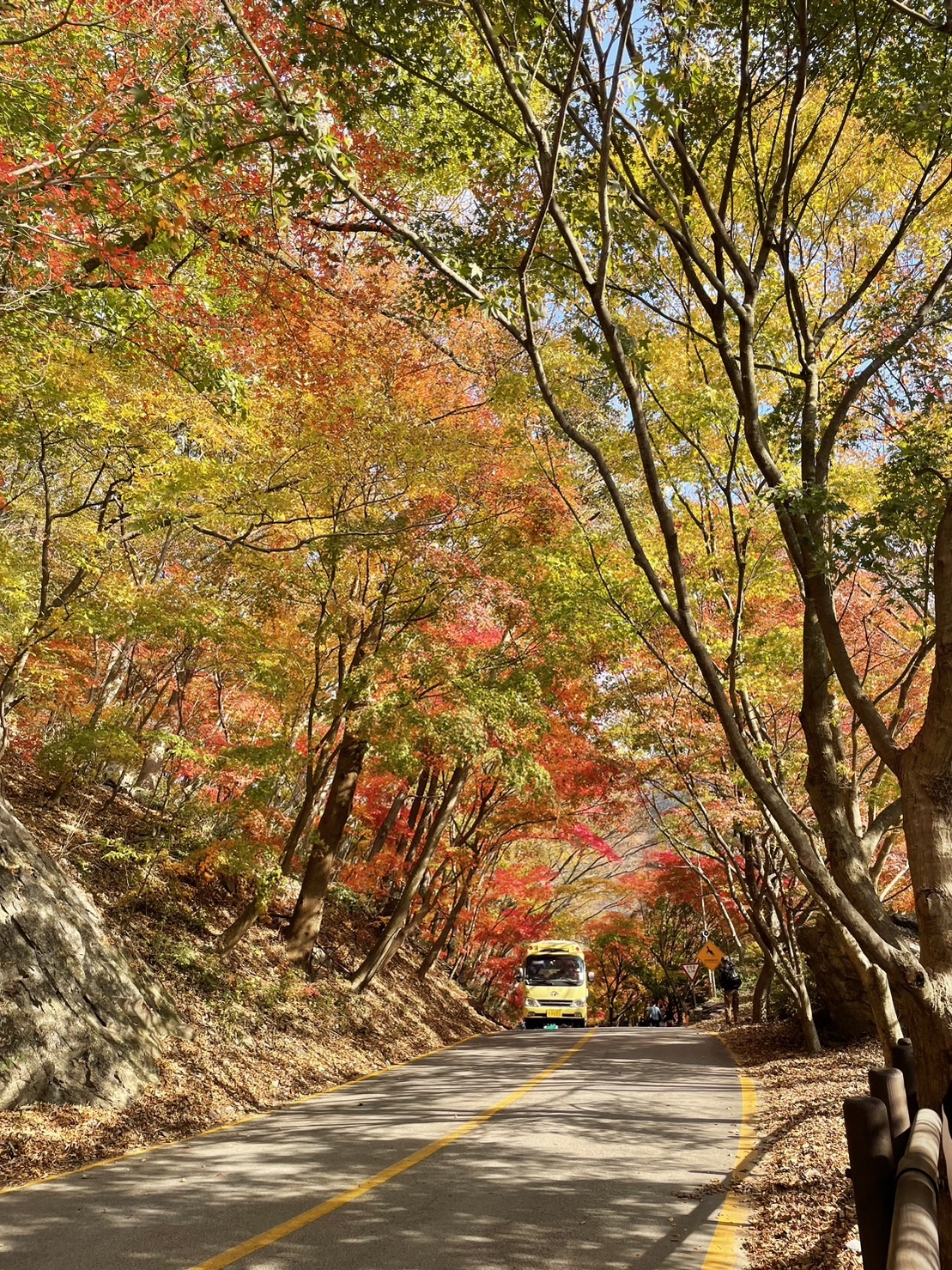 內藏山國立公園