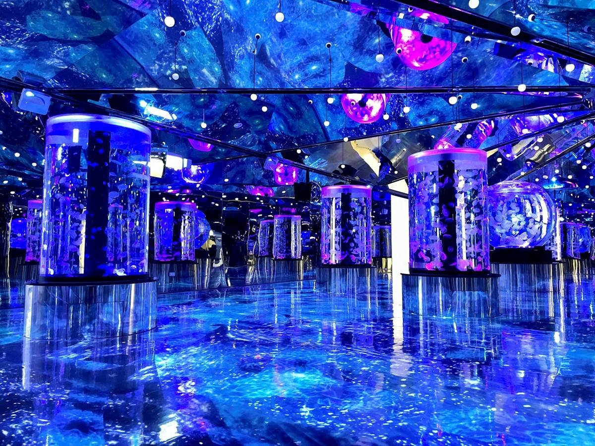 2023「Xpark冬の水族館戀愛物語」