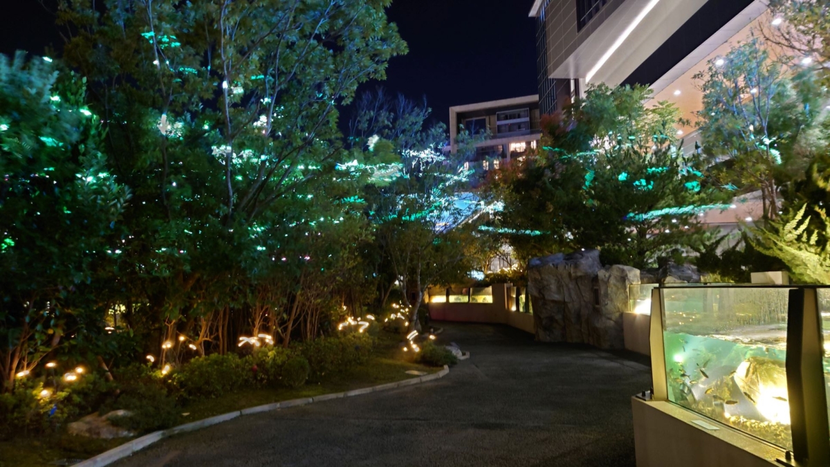 漫步叢林夜間螢光再現