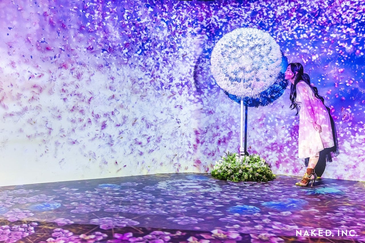 《DANDELION PROJECT與世界連接的蒲公英》