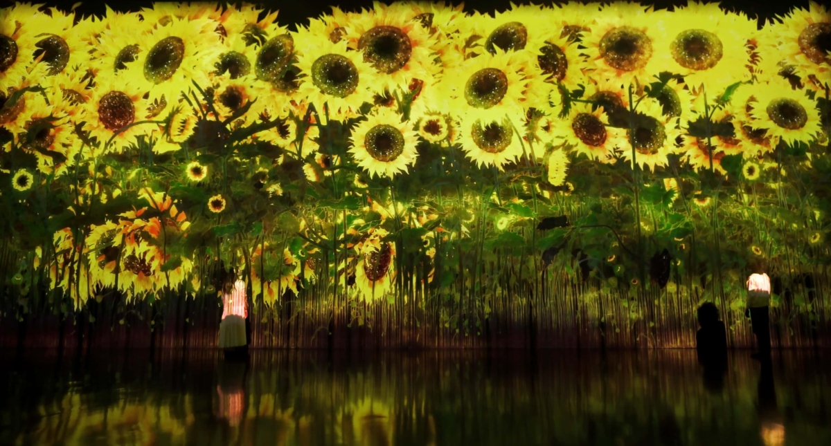 《無盡綻放的宏大生命》