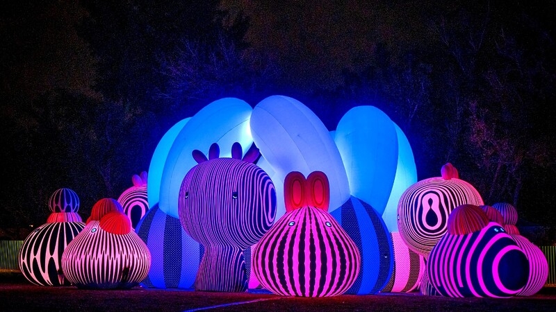 《飛天交響樂》