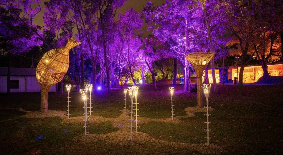 《星星閃爍 在說話》