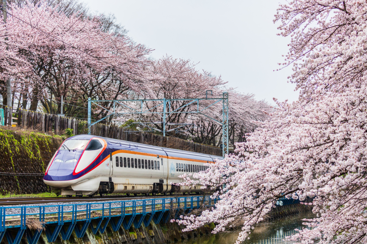 山形縣「霞城公園」
