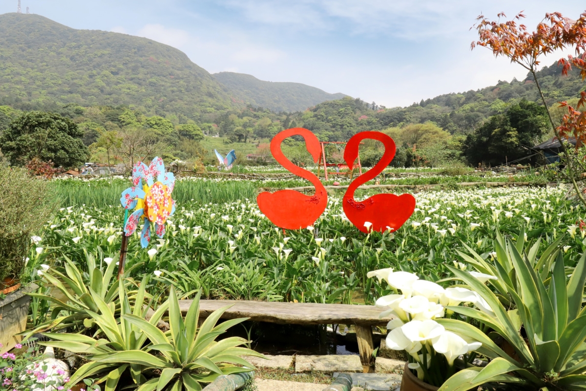展昇海芋園