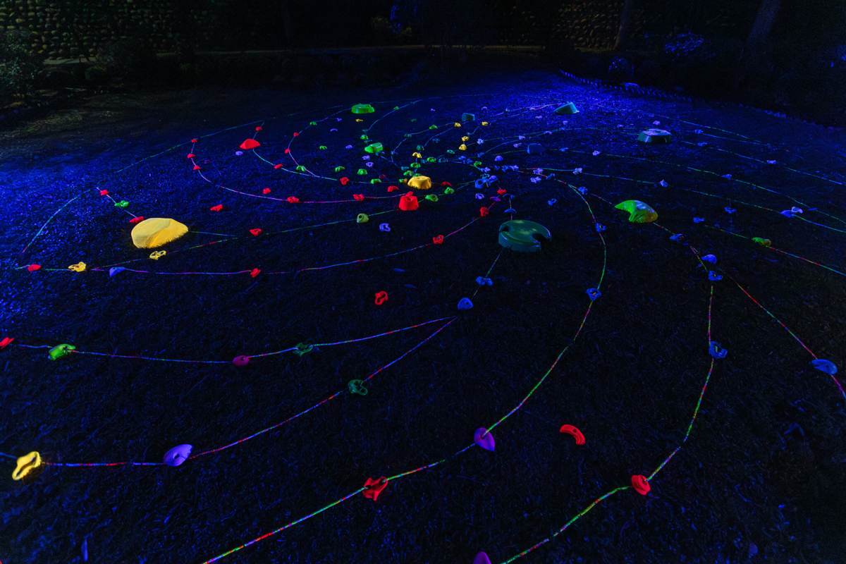 《捕夢與掙脫》