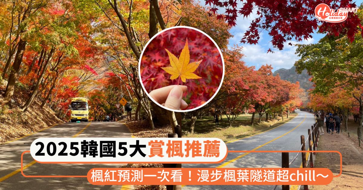 2025韓國5大「賞楓景點」推薦!各地楓紅預測一次看,漫步楓葉隧道、搭纜車俯瞰楓景超chill~