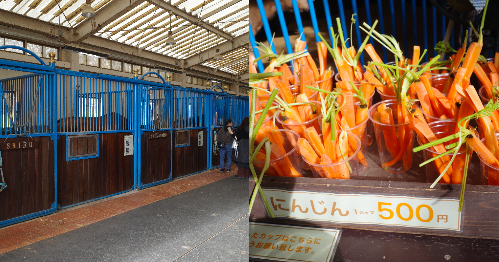 NASU Farm village時尚感牧場
