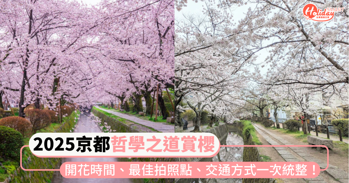 【2025京都哲學之道賞櫻攻略】開花時間、最佳拍照點、交通方式一次統整