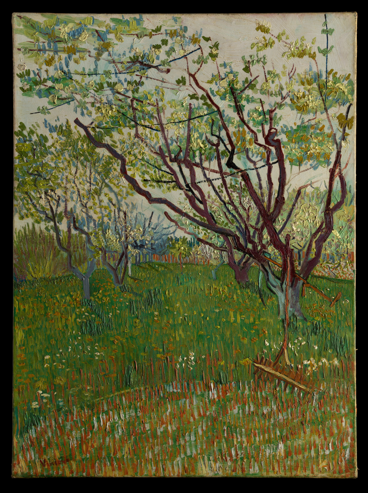 文森梵谷_花朵盛開的果園_1888 © The Metropolitan Museum of Art_Vincent Van Gogh_The Flowering Orchard