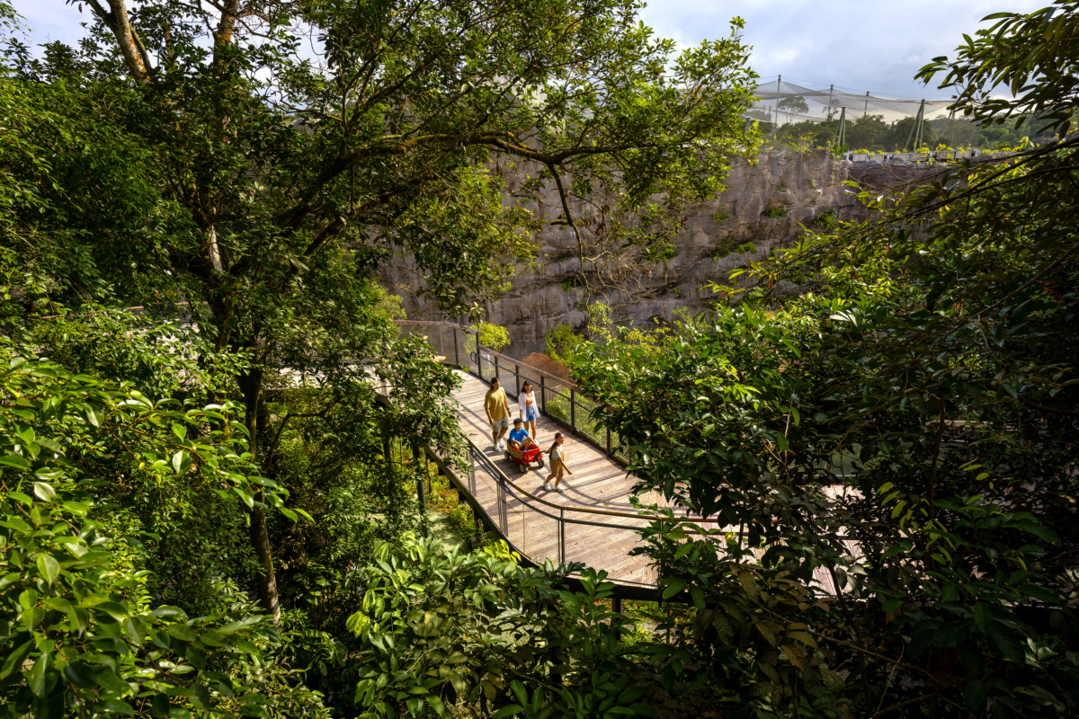 Rainforest Wild ASIA 亞洲雨林探險園