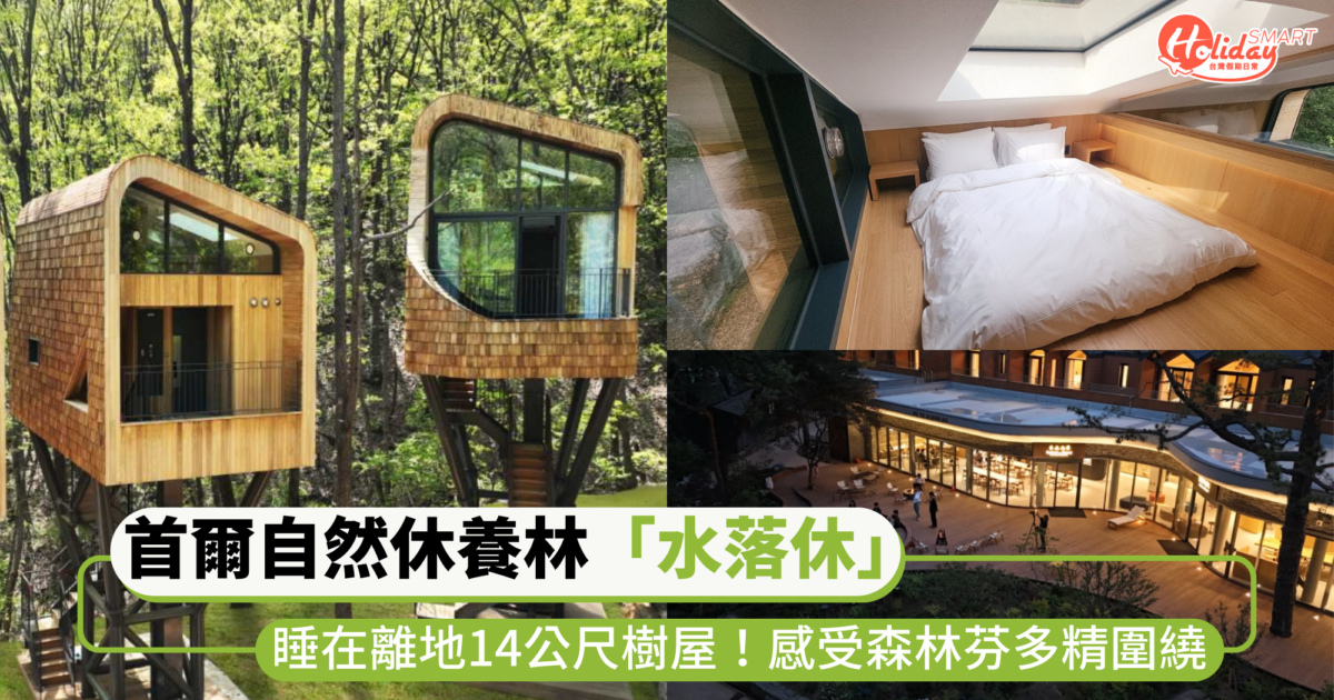 首爾首座自然休養林「水落休」住宿！睡在離地14公尺高樹屋，感受森林芬多精圍繞太chill～