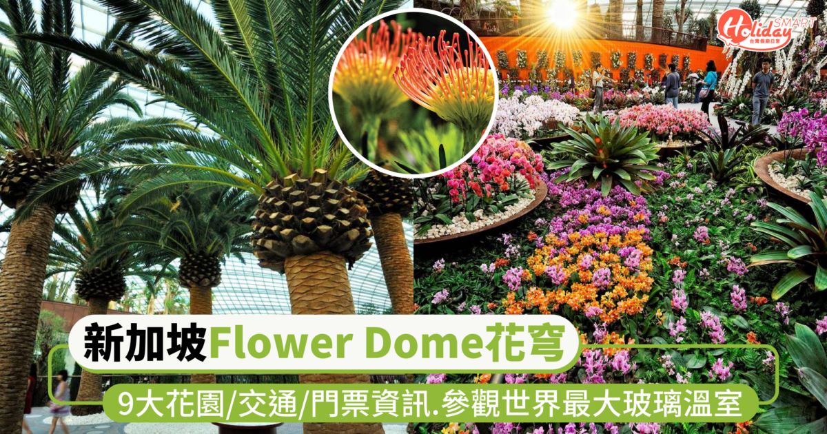 新加坡濱海灣花園「Flower Dome花穹」景點攻略!9大花園介紹/交通/門票資訊,參觀世界最大玻璃溫室