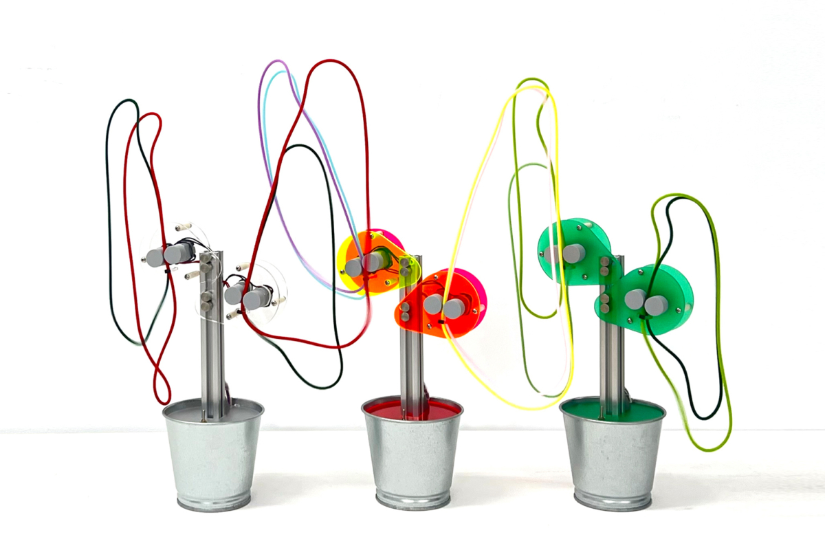 邱馳《射線盆栽》