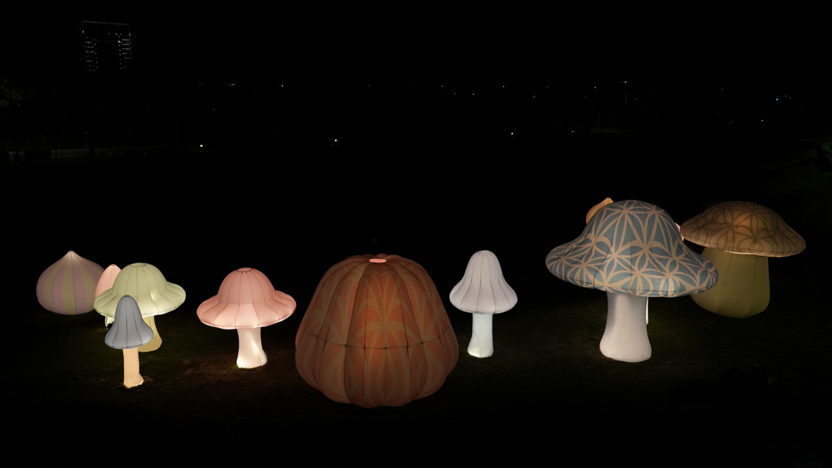 尹子潔《仙女圈》