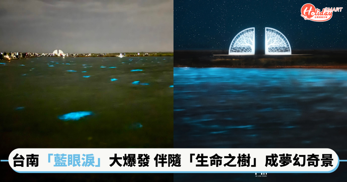 超美！台南「藍眼淚」大爆發　藍眼淚是什麼？哪裡可以看？出發前注意事項一次看