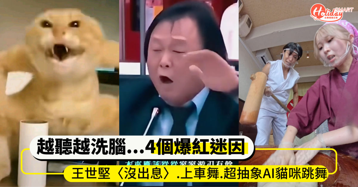 越聽越洗腦...4個爆紅迷因！王世堅〈沒出息〉、上車舞、超抽象AI貓咪跳舞 全網瘋傳音檔掀模仿潮