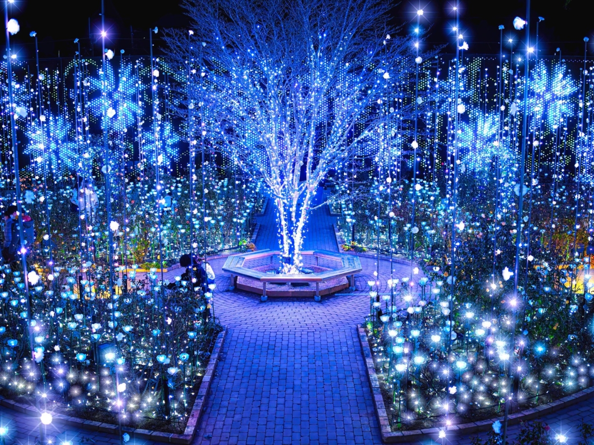 利用精緻的光影，重現花卉公園四季盛開的美景。