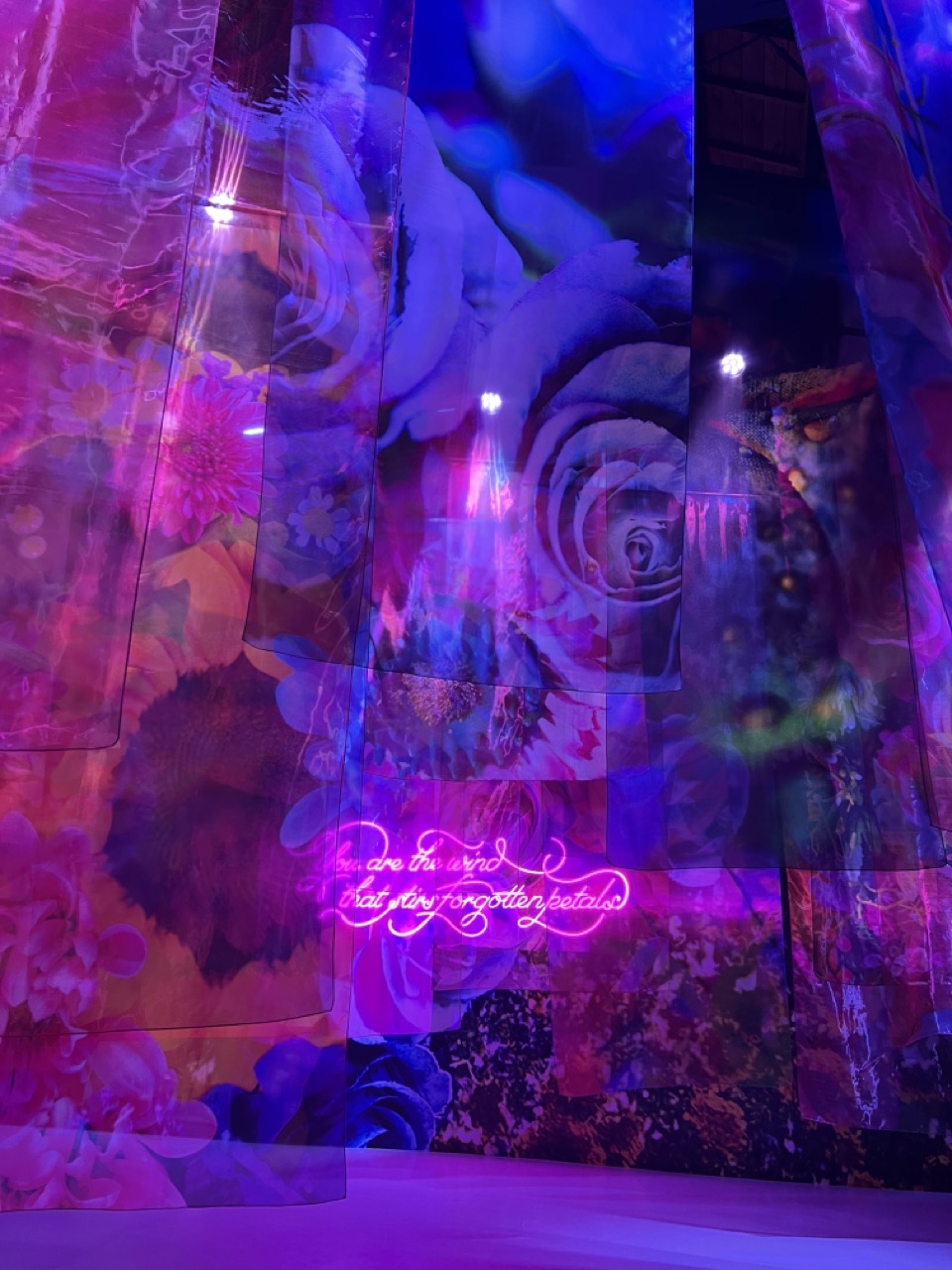 《生命的殘骸》展區